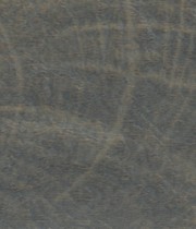 ABS HD 244342 дъб гладстоун сепия end-grain 42x1