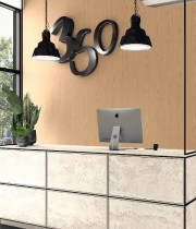 МДФ F129 PA 2800x2070x19 гранит амбианс б.EG