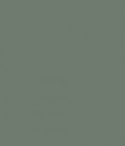 ПДЧ U604 TM9 2800x2070x19 EG евкалипт.зелено