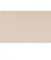 ABS HU 126045 бежово гладко 22x1