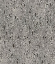 F021 ST75 Террано Триестино сиво