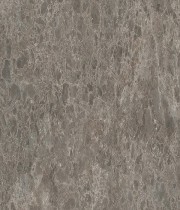 F095 ST87 Мрамор Сиена сив